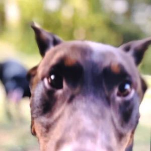 Meet your Posher, Mindy